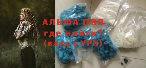 PSILOCYBIN Михайлов
