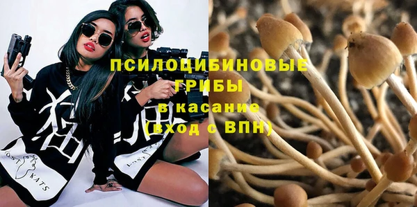 гидропоника Алексин