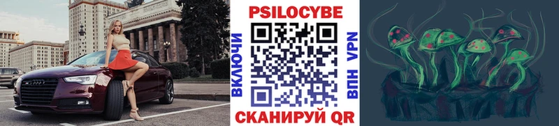 Галлюциногенные грибы Psilocybe  закладки  Хадыженск 